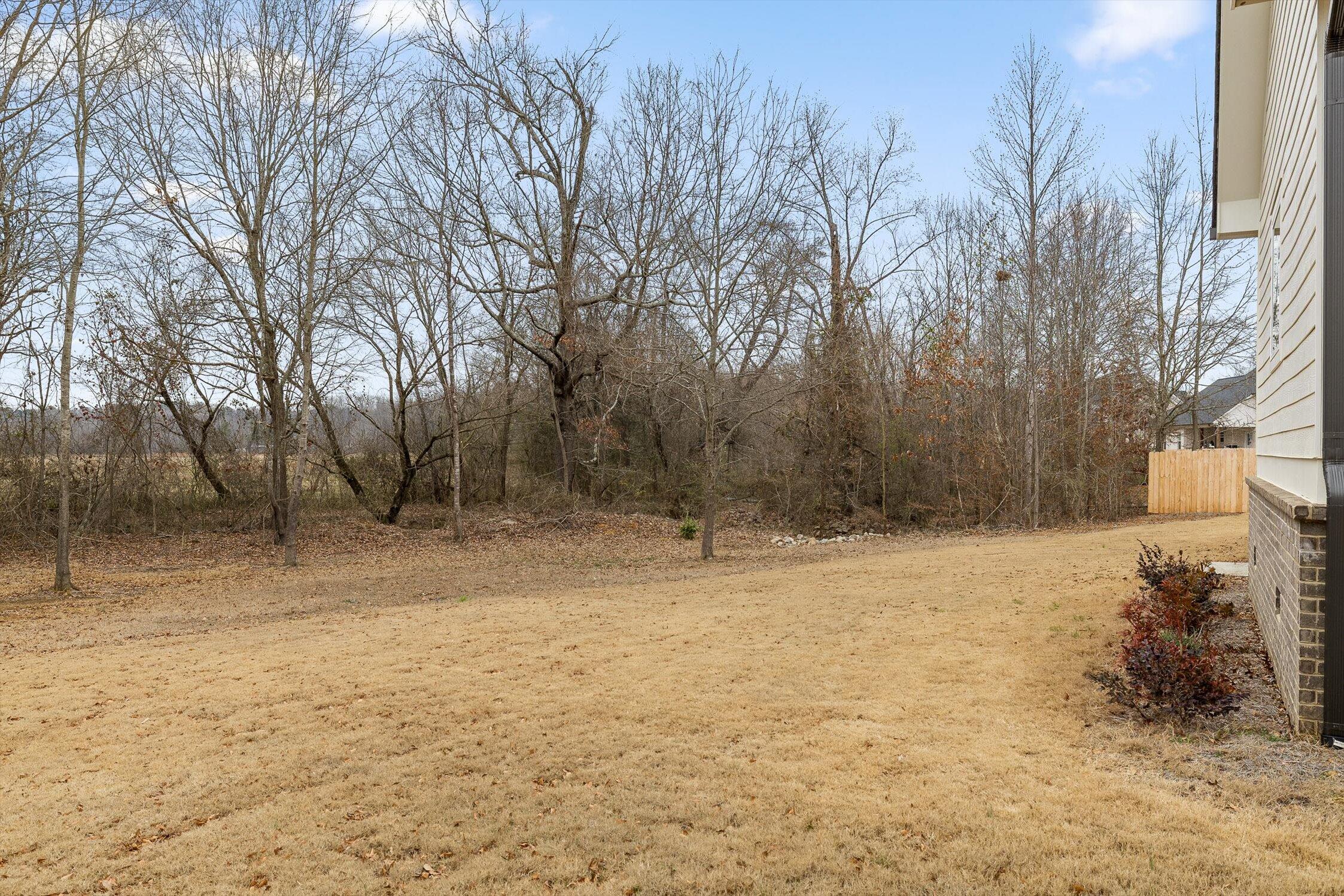 186 West Madison Street Chatsworth, GA 30705 - Photo 58 of 61 04-W Madison-4