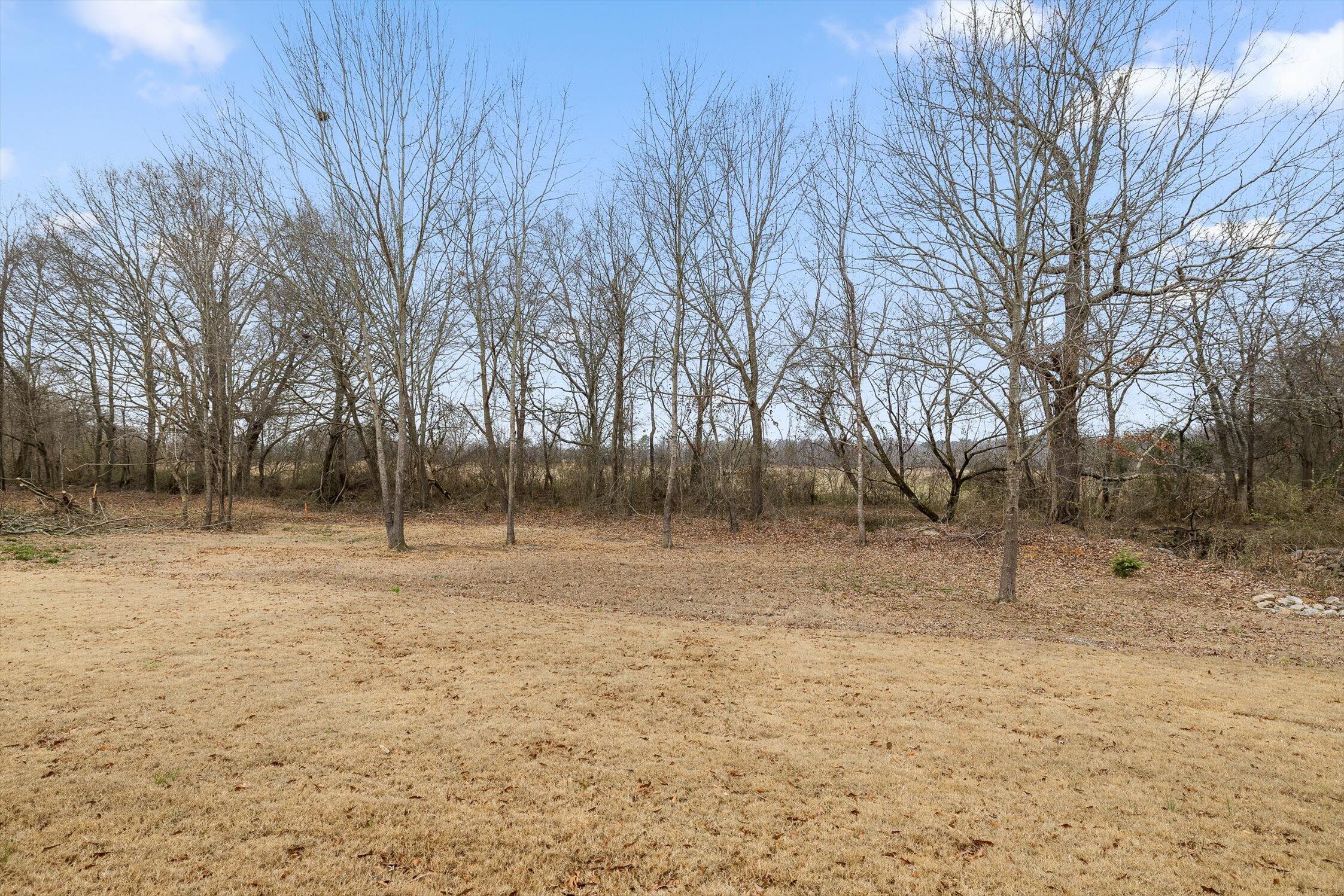 186 West Madison Street Chatsworth, GA 30705 - Photo 59 of 61 11-W Madison-11