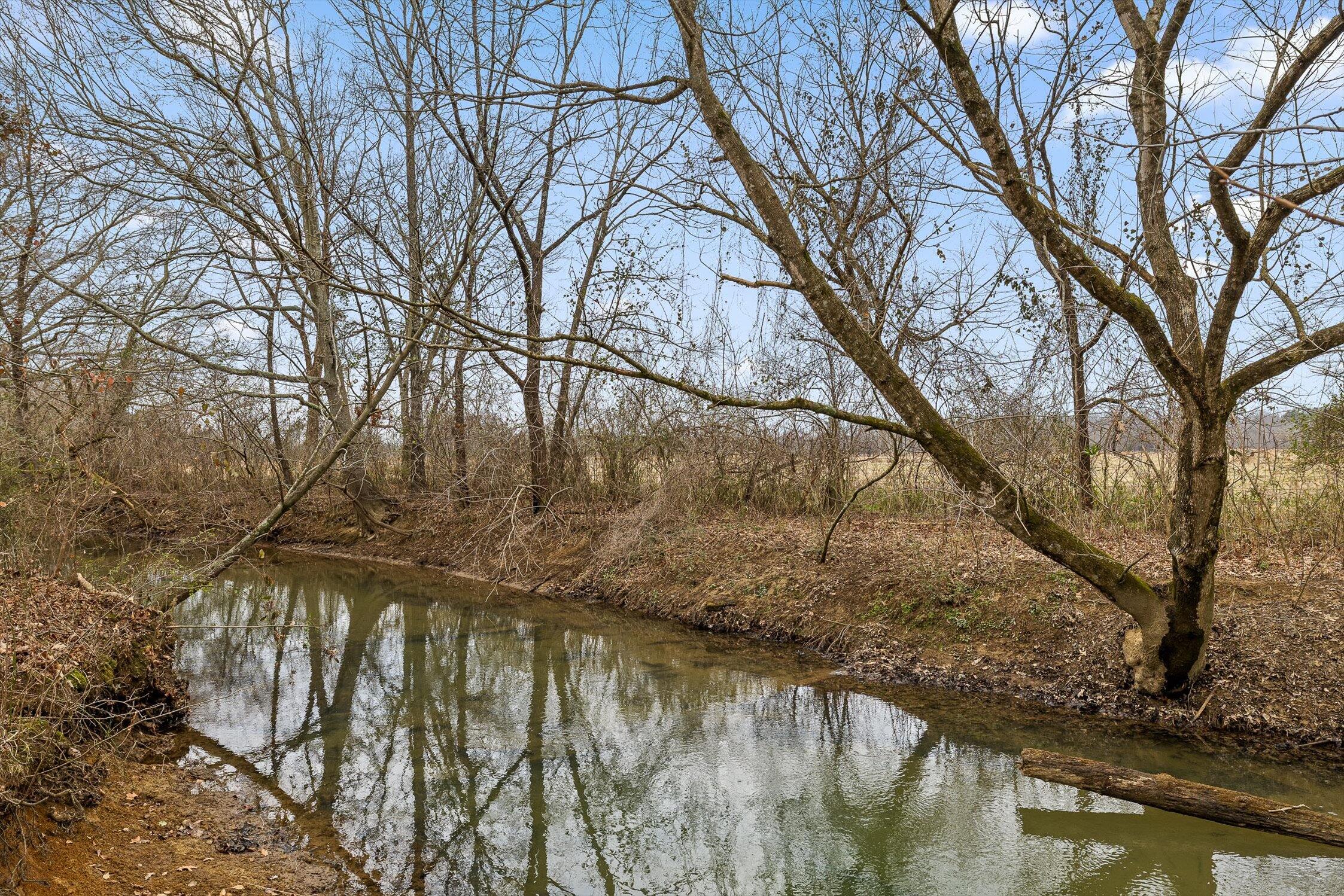 186 West Madison Street Chatsworth, GA 30705 - Photo 60 of 61 07-W Madison-7