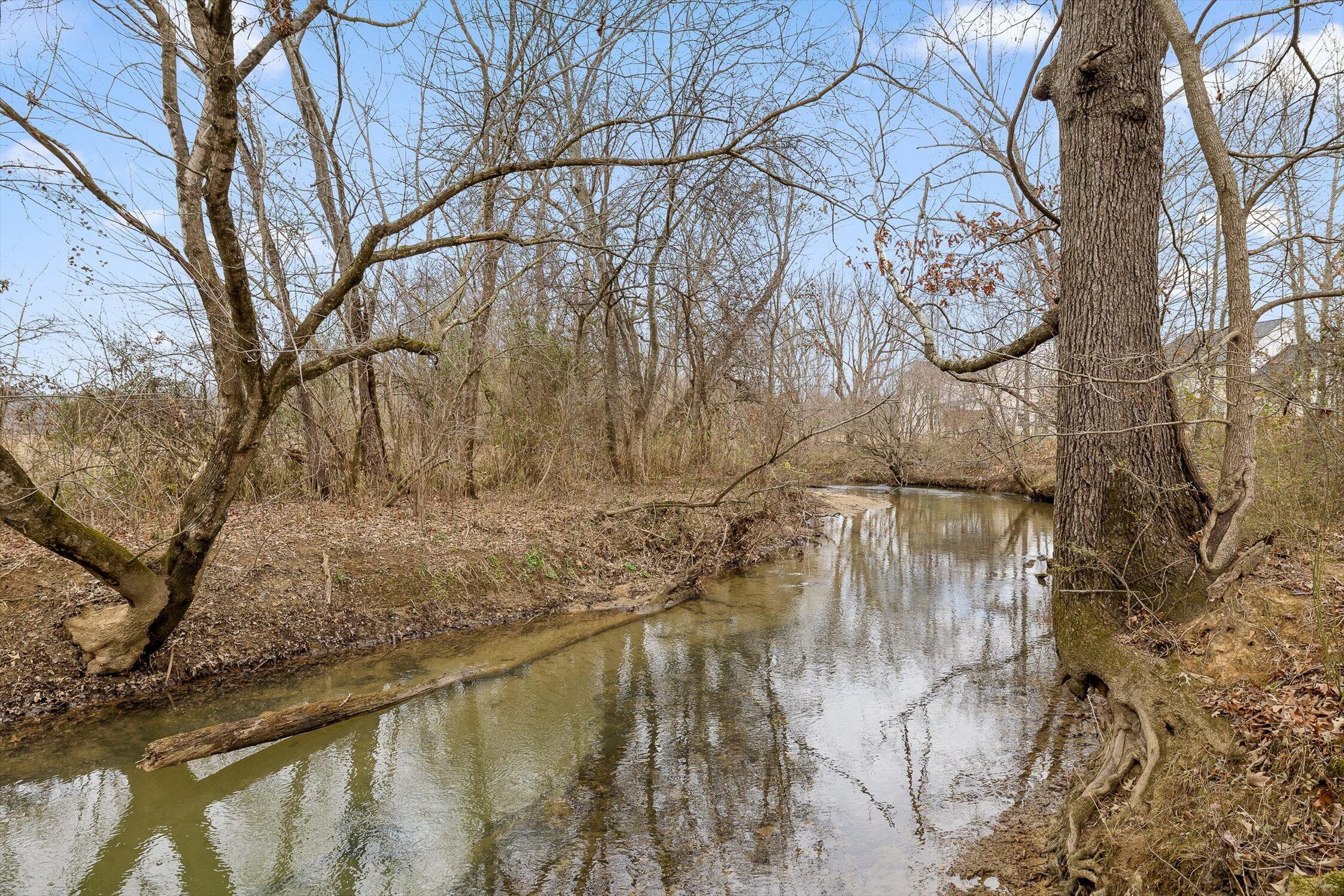 186 West Madison Street Chatsworth, GA 30705 - Photo 61 of 61 06-W Madison-6