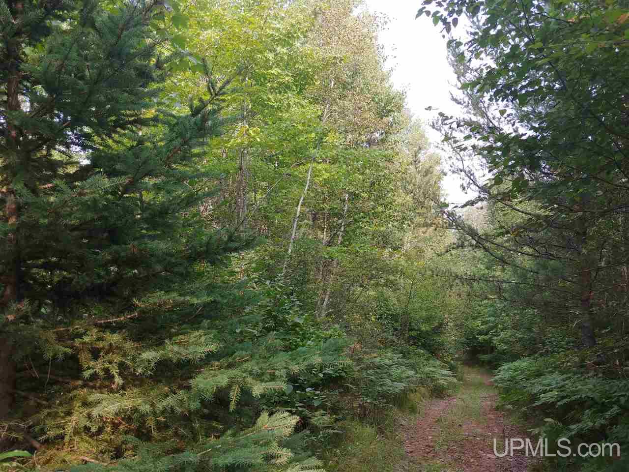 42-acres 42-acres Co Road Ishpeming, MI 49849 - Photo 1 of 16