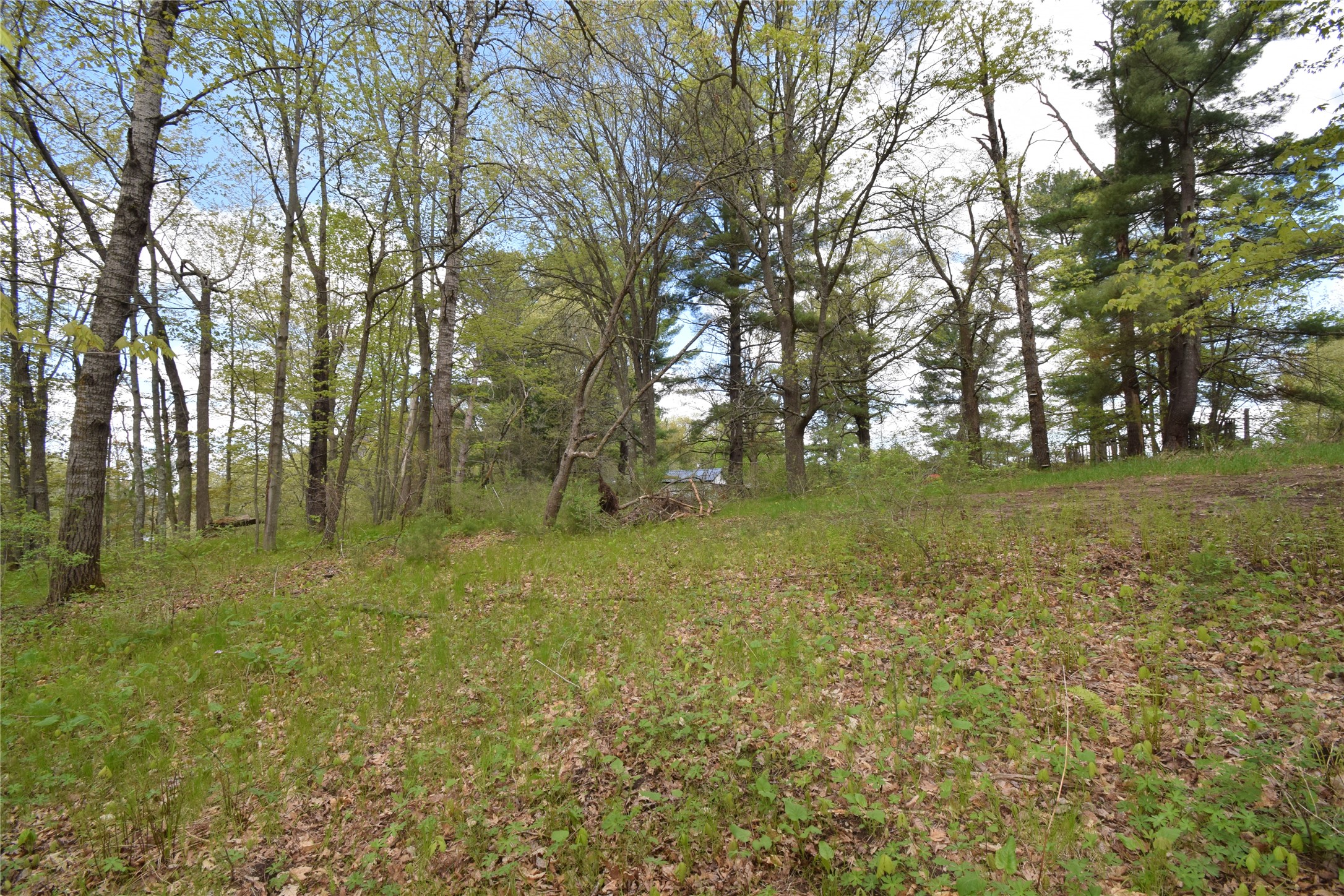 25383 Mansfield Road Webster, WI 54893 - Photo 22 of 36