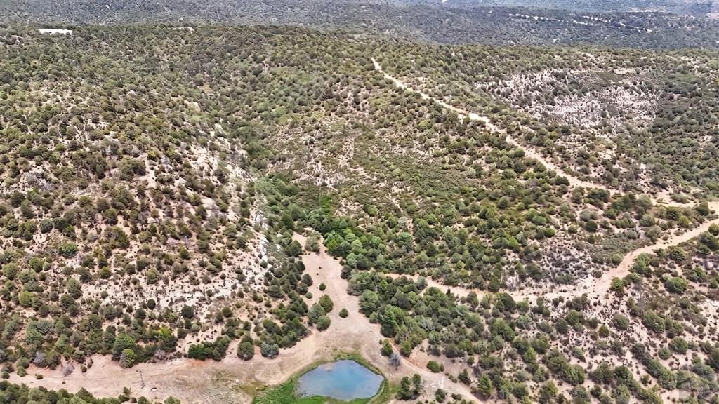 17001 Peacock Road Trinidad, CO 81082 - Photo 36 of 62