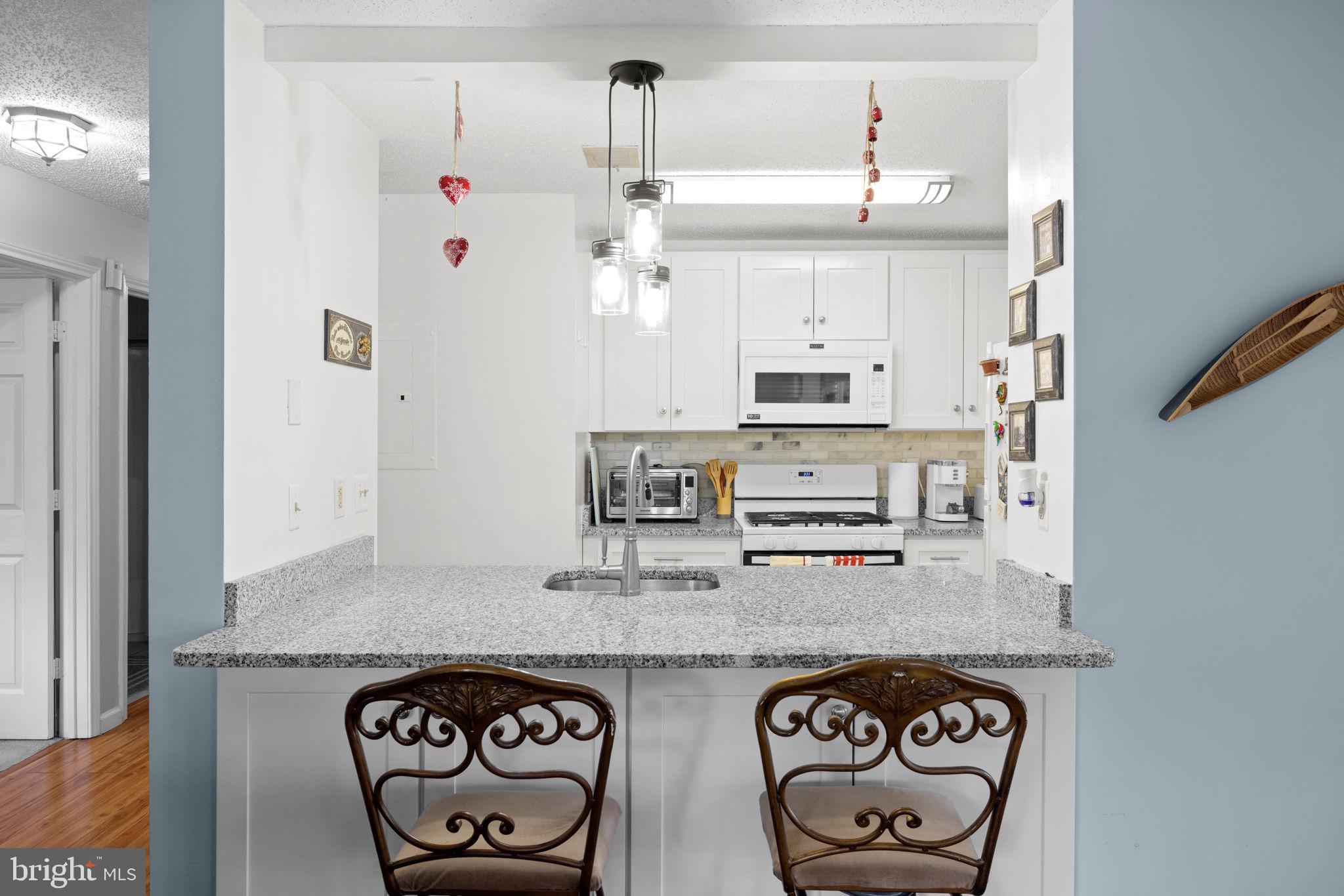 20957 Timber Ridge Terrace, Unit 301 Ashburn, VA 20147 - Photo 11 of 19 Convenient Bar