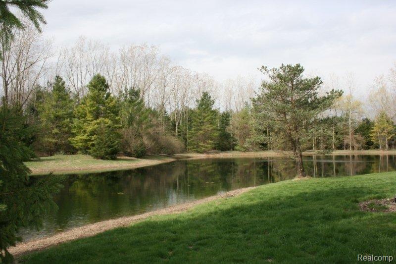 5955 Secor Road Ida, MI 48140 - Photo 21 of 23 IMG_6705.jpg