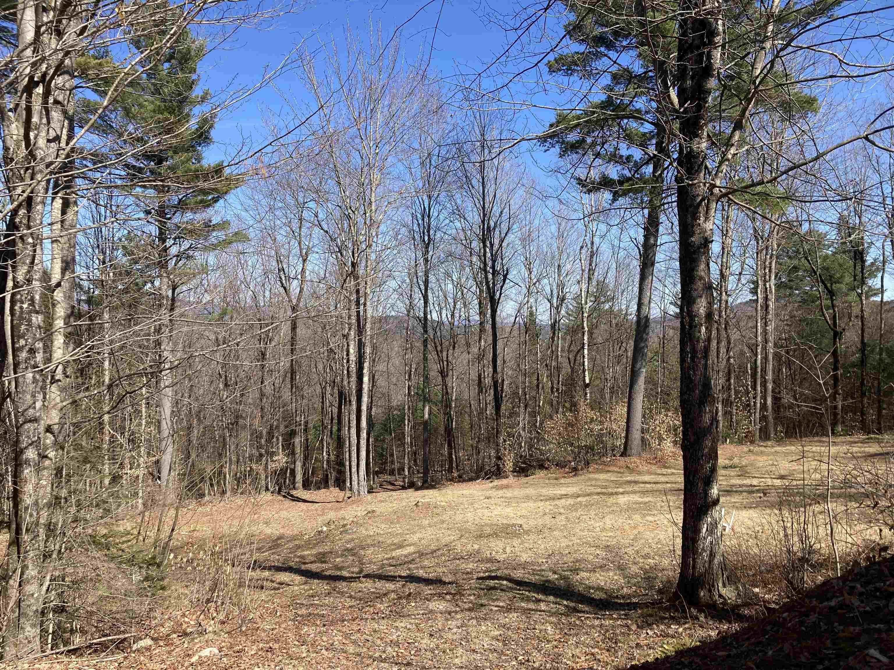 130 Kinsman Road Grafton, NH 03240 - Photo 16 of 22