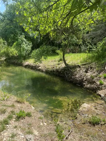 a view of a lake view with a large tree