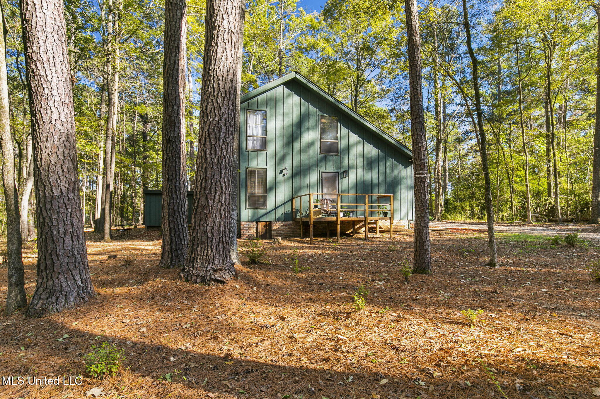 4849 Terry Road Jackson, MS 39212 - Photo 41 of 62 41-web-or-mls-4849 Terry Rd-41