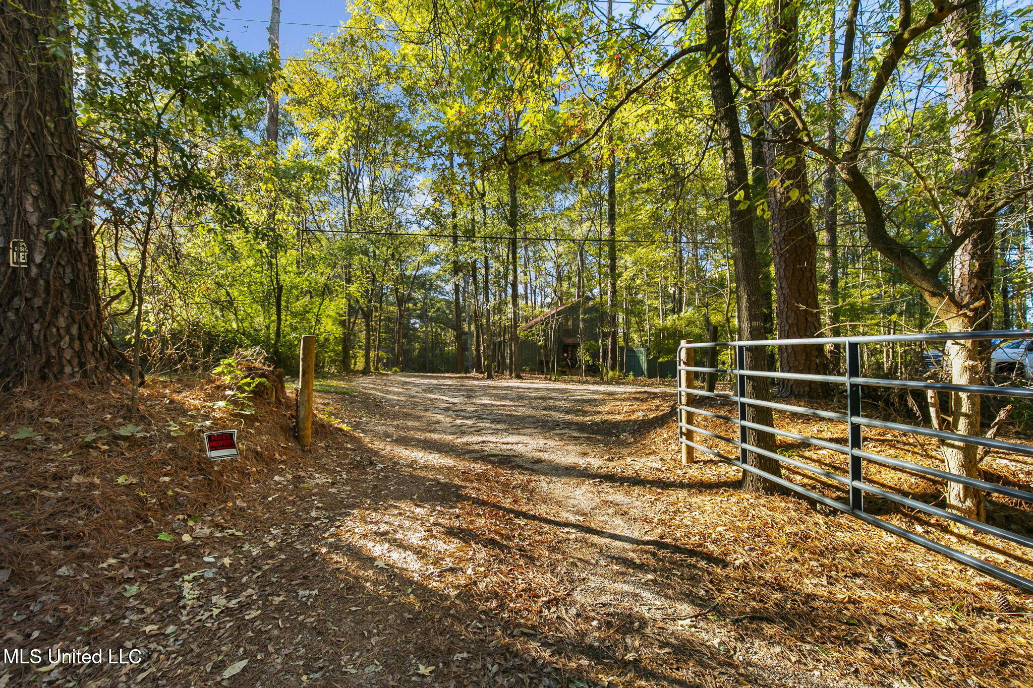 4849 Terry Road Jackson, MS 39212 - Photo 53 of 62 53-web-or-mls-4849 Terry Rd-53