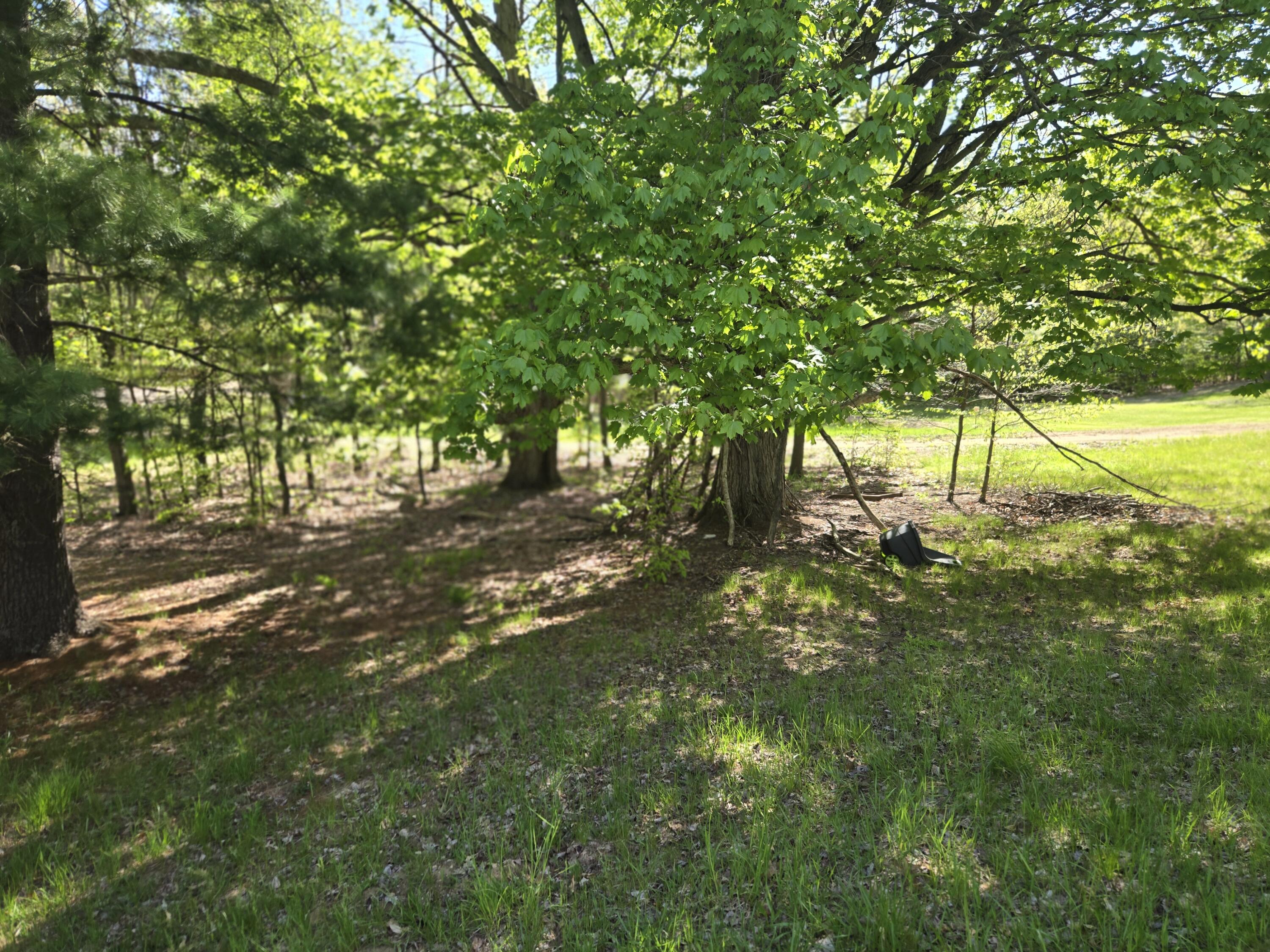 4568 Deer Cove Road Custer, MI 49405 - Photo 9 of 20 1000007116
