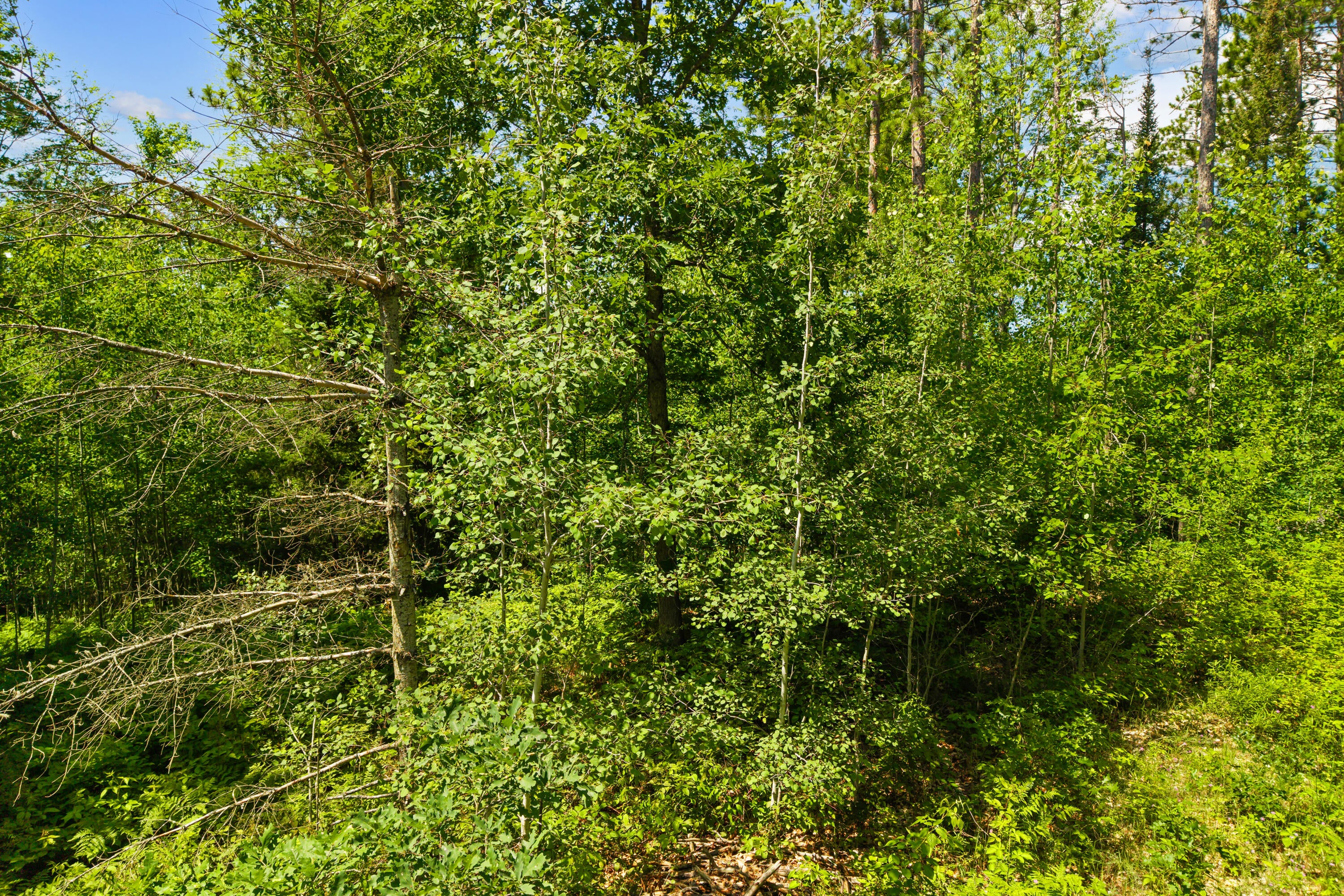 151 North Abbe Road Fairview, MI 48621 - Photo 50 of 58 Gallery Image 50