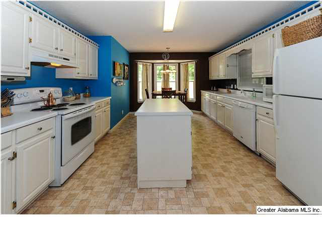 378 Shadow Stone Lane Oneonta, AL 35121 - Photo 9 of 22