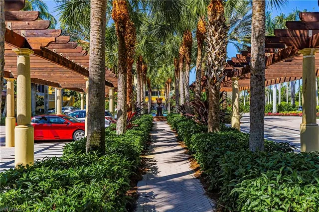 a view of a park with plants and large trees