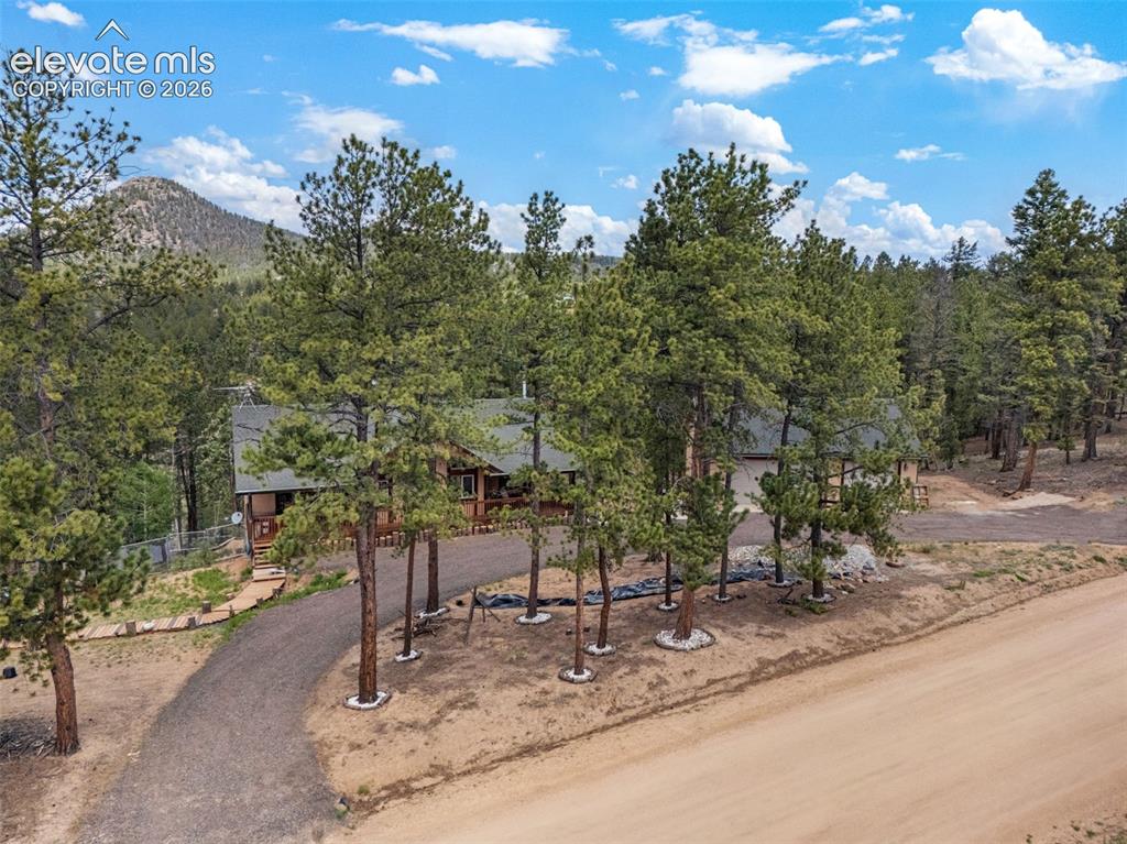 897 Fossil Creek Road Florissant, CO 80816 - Photo 3 of 47 a view of outdoor space and yard