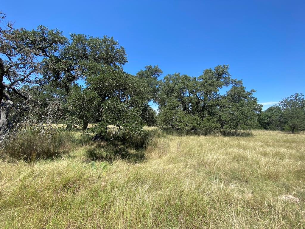 210 Dally Road Comfort, TX 78013 - Photo 65 of 74 Front view