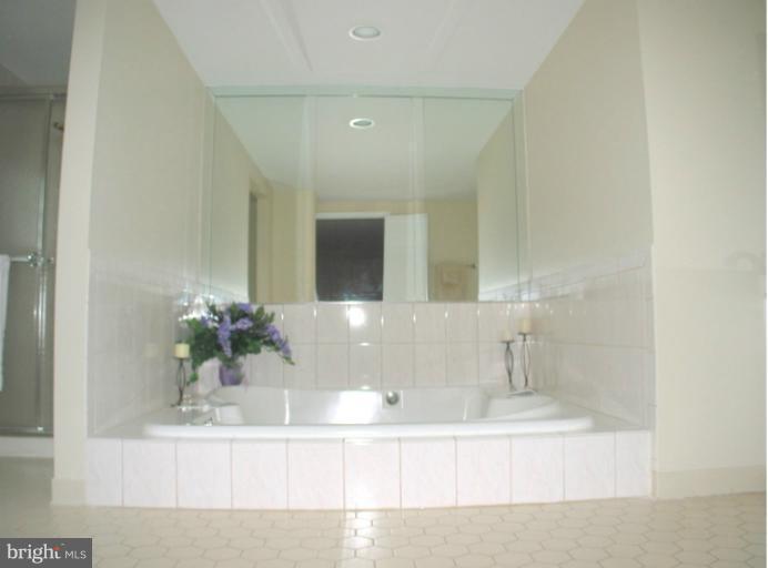 9401 Reach Road Potomac, MD 20854 - Photo 2 of 30 Step Down Jacuzzi