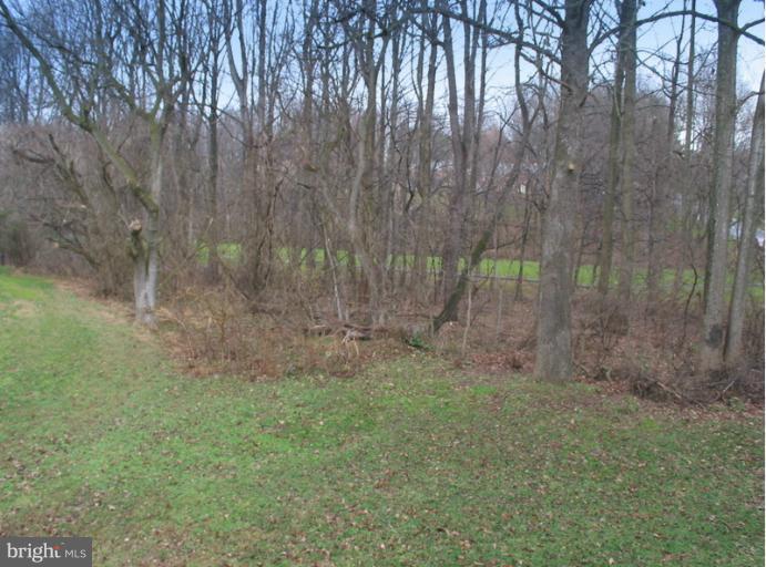 9401 Reach Road Potomac, MD 20854 - Photo 11 of 30 Rear Yard backing to green space