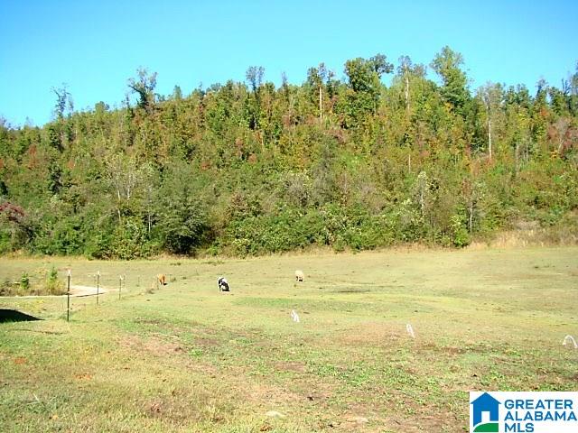 889 Hunter Road Ohatchee, AL 36271 - Photo 35 of 44