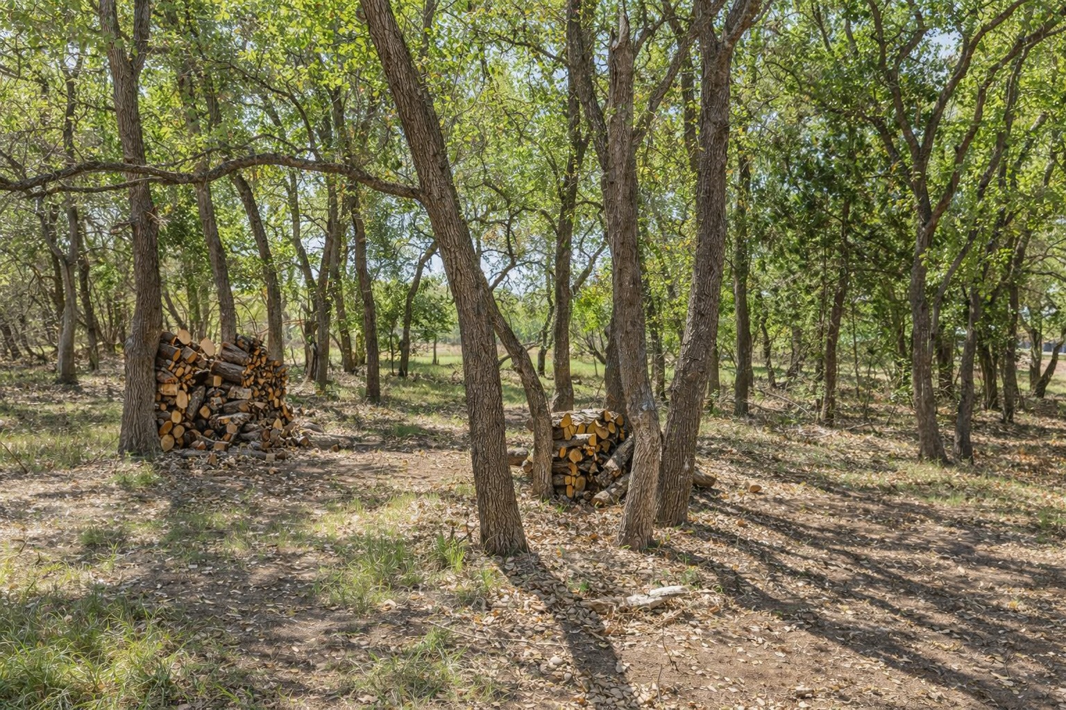 408 Rust Ranch Road Blanco, TX 78606 - Photo 29 of 34 View of undeveloped land