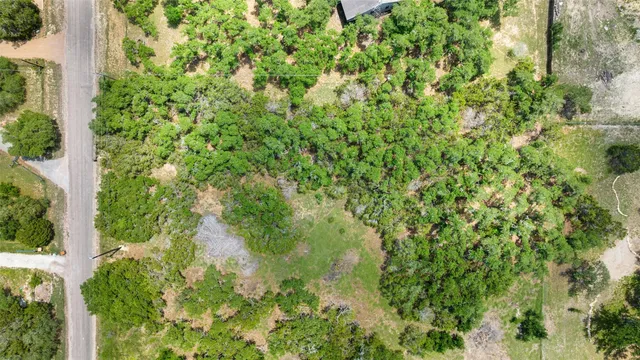 a view of a garden with plants