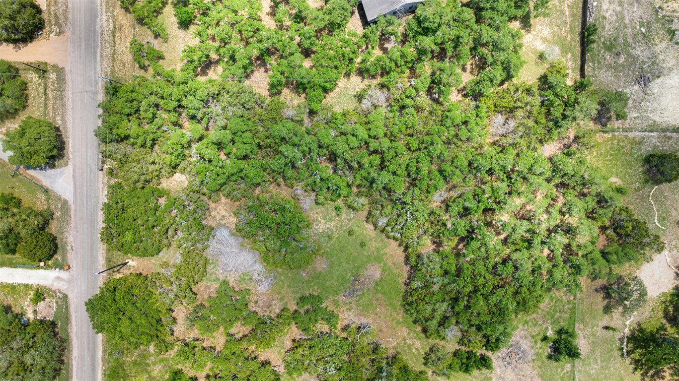408 Rust Ranch Road Blanco, TX 78606 - Photo 5 of 35 a view of a garden with plants