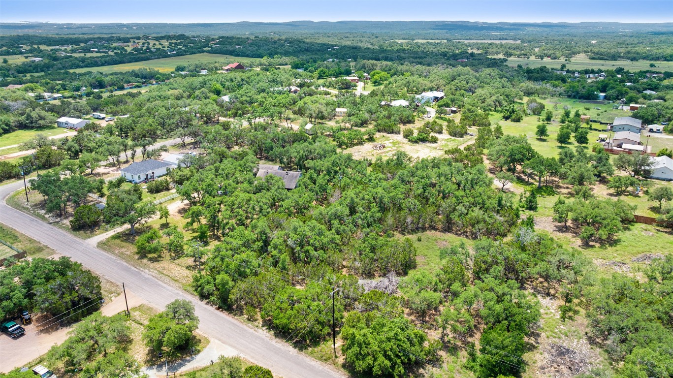 408 Rust Ranch Road Blanco, TX 78606 - Photo 6 of 35 a view of a green field with lots of bushes