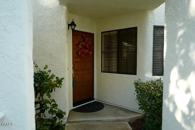 a potted plant sitting in front of a door