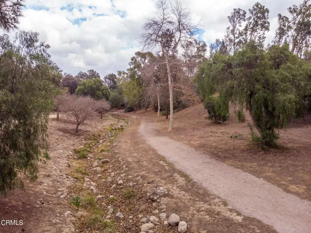 a view of a dirt road with trees