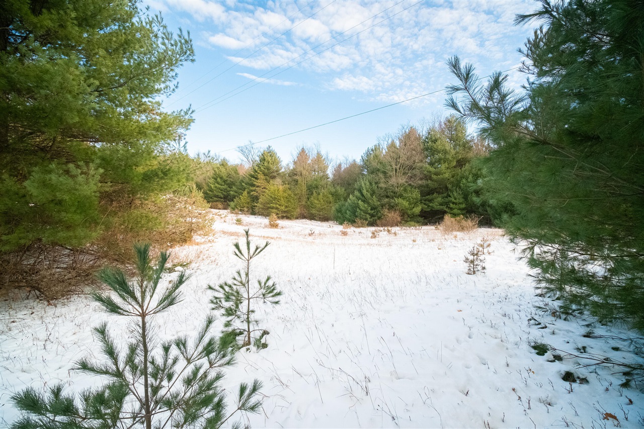 0 Erdman Road Onekama, MI 49675 - Photo 59 of 69 Gallery Image 59