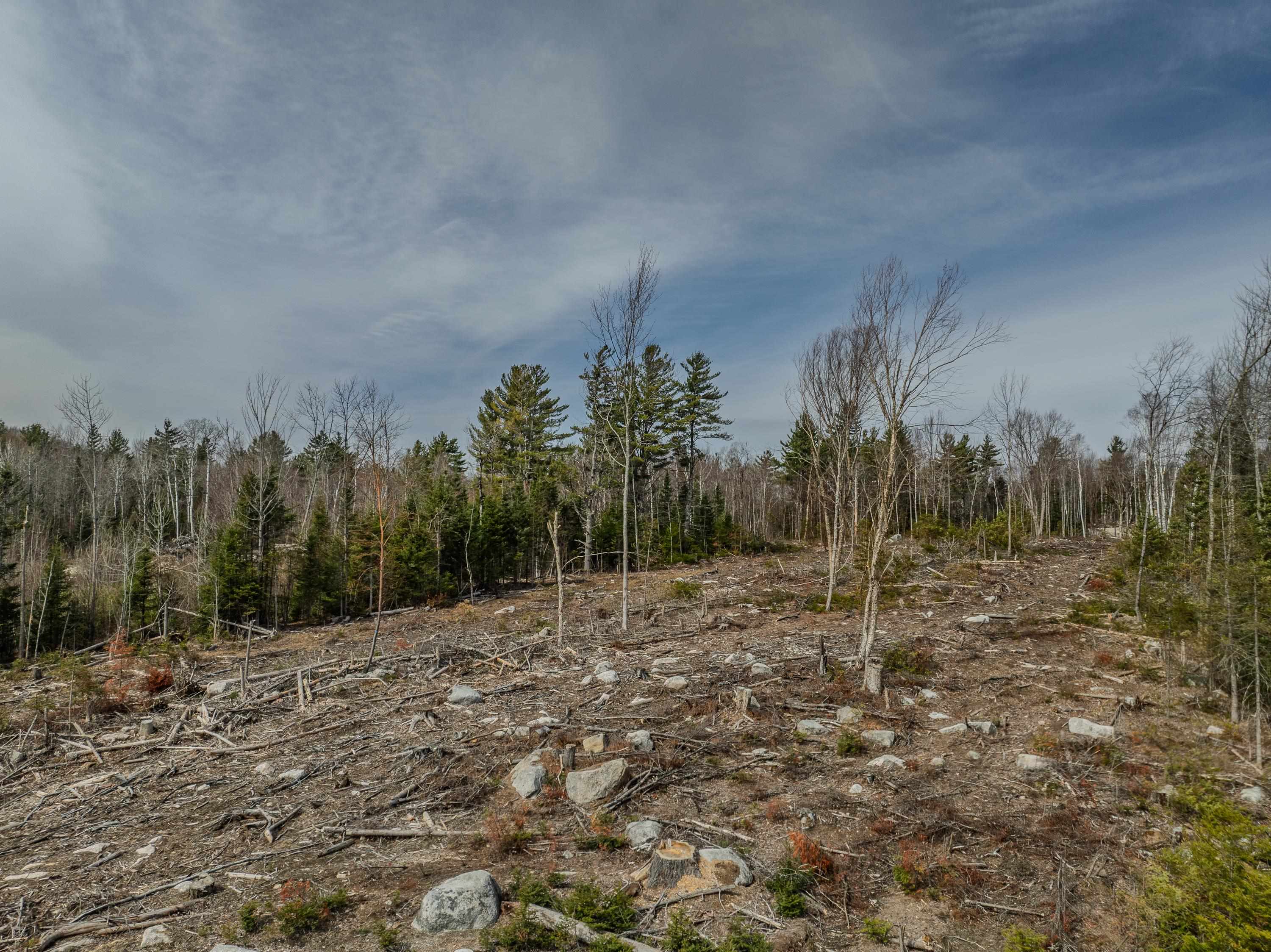 0 Ridge Road, Unit 43 Bethlehem, NH 03574 - Photo 35 of 36