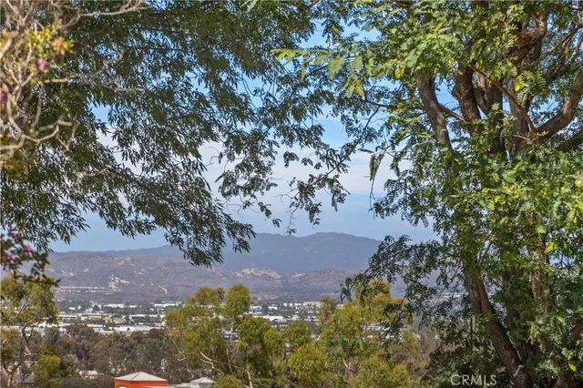 a view of a yard with a tree