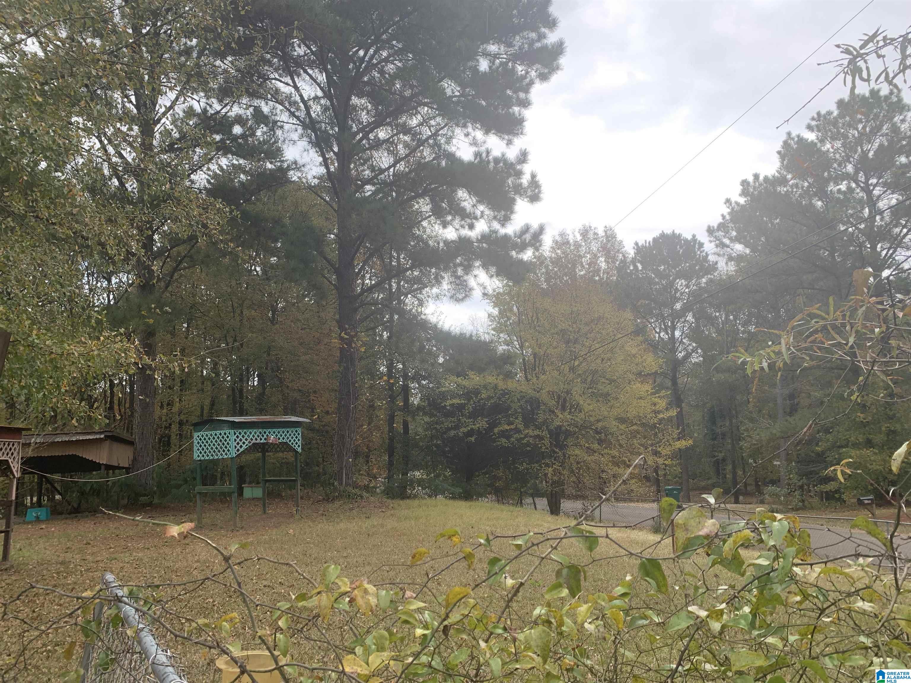 22334 Trace Lane McCalla, AL 35111 - Photo 5 of 5