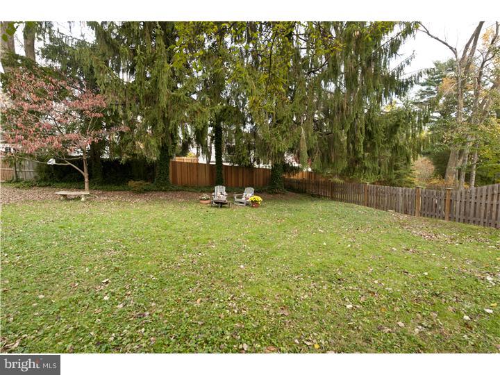 443 Conestoga Road Wayne, PA 19087 - Photo 20 of 20 Back Yard