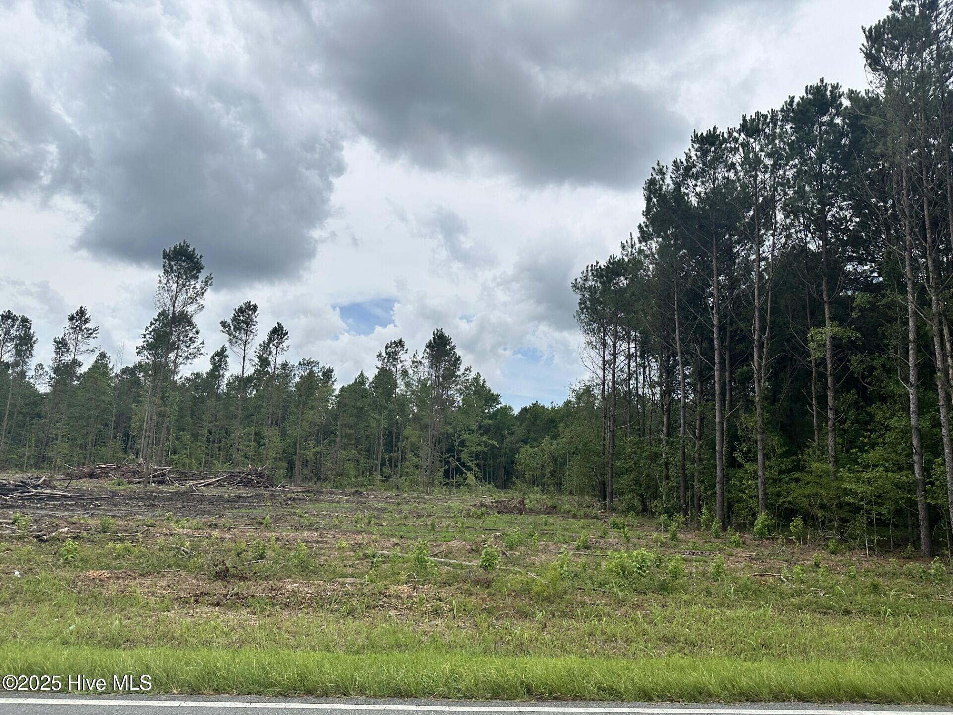 1381 Bill Hooks Road Whiteville, NC 28472 - Photo 3 of 5 3