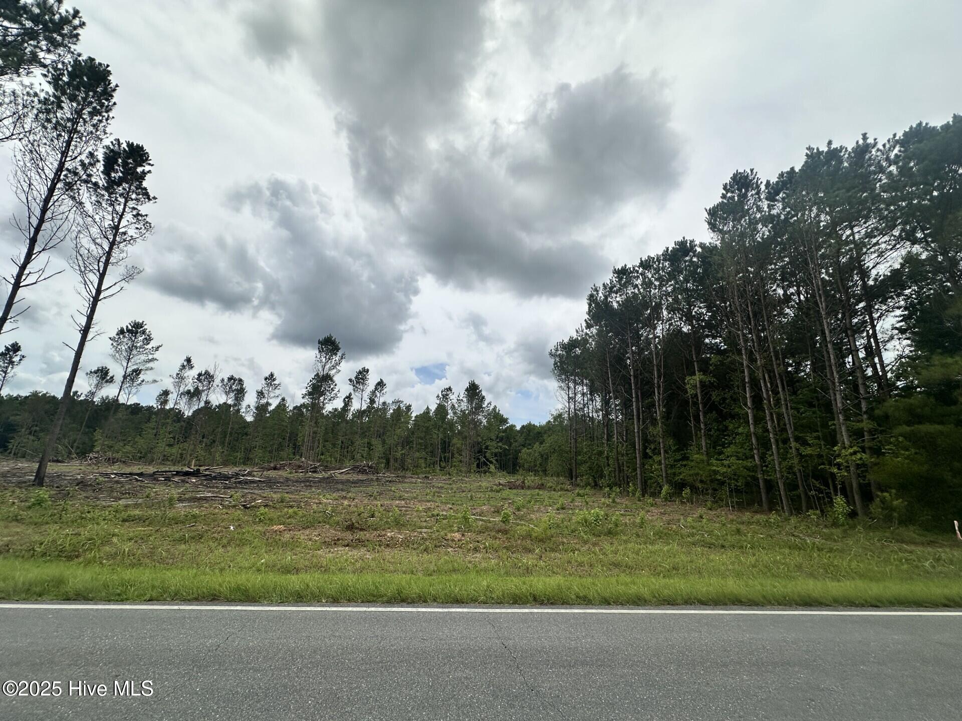 1381 Bill Hooks Road Whiteville, NC 28472 - Photo 4 of 5 4