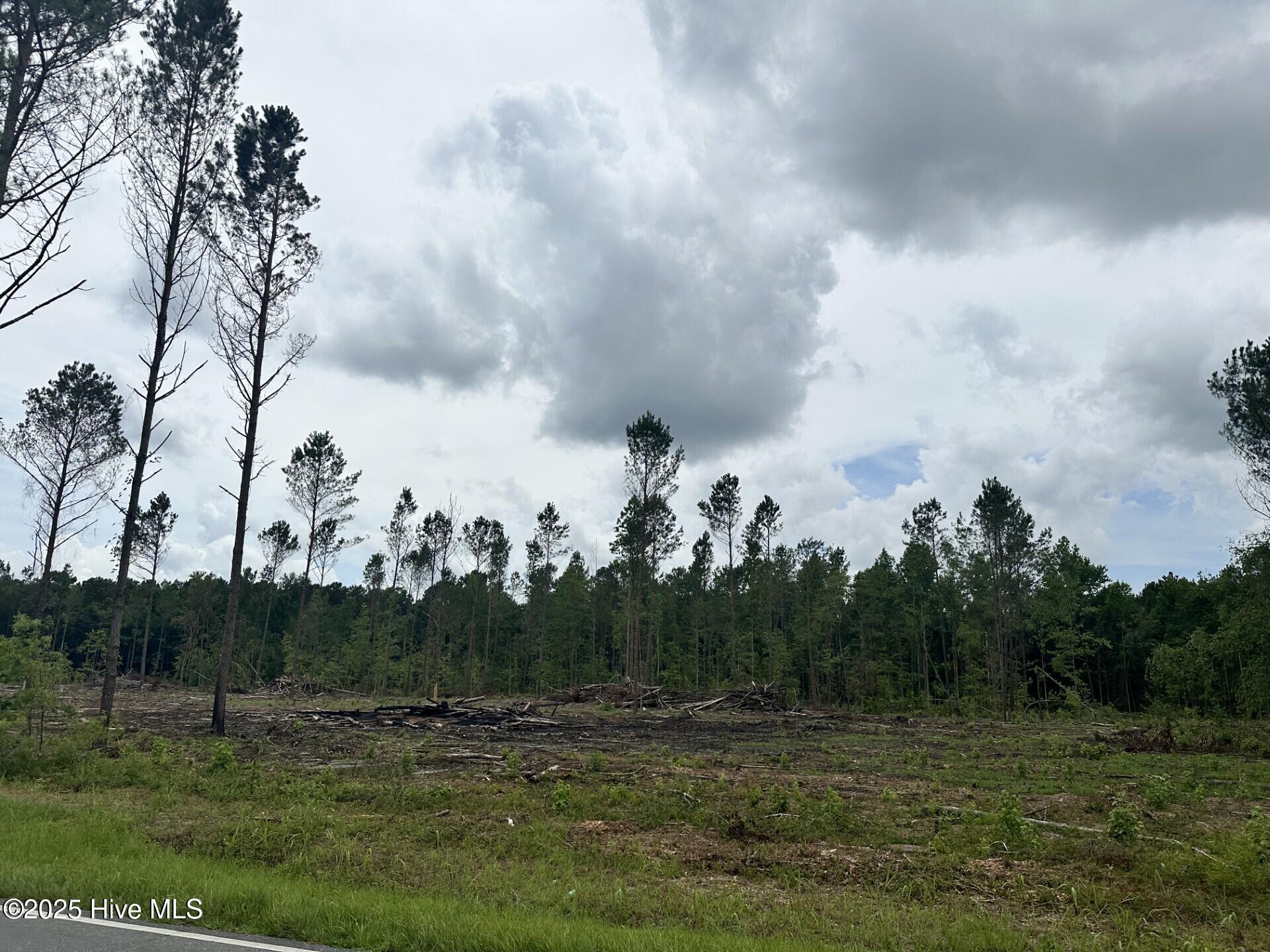 1381 Bill Hooks Road Whiteville, NC 28472 - Photo 5 of 5 5