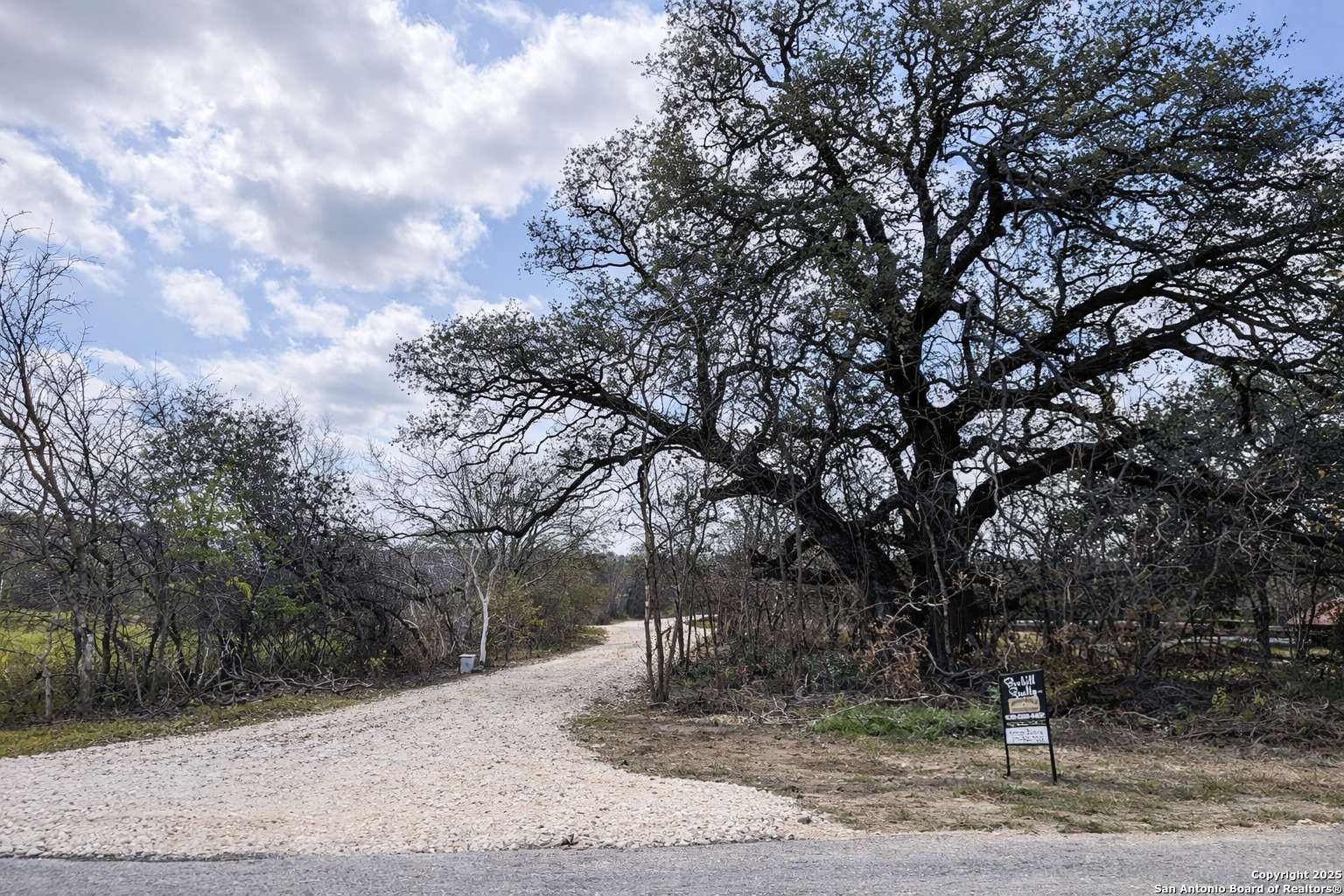558 County Road 7713 Devine, TX 78016 - Photo 32 of 33 a view of a tree with a big yard