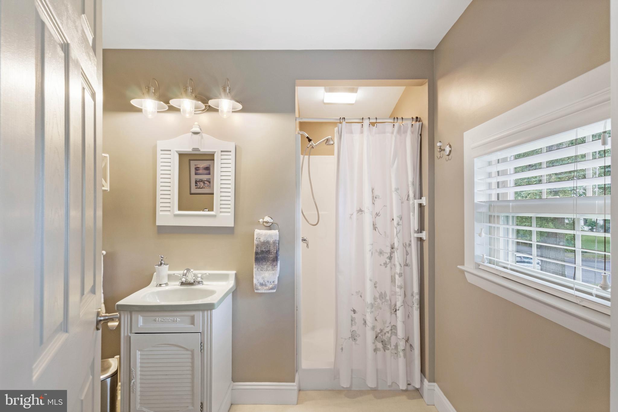 38 Read Street Seaford, DE 19973 - Photo 21 of 50 a bathroom with a sink a mirror and a shower