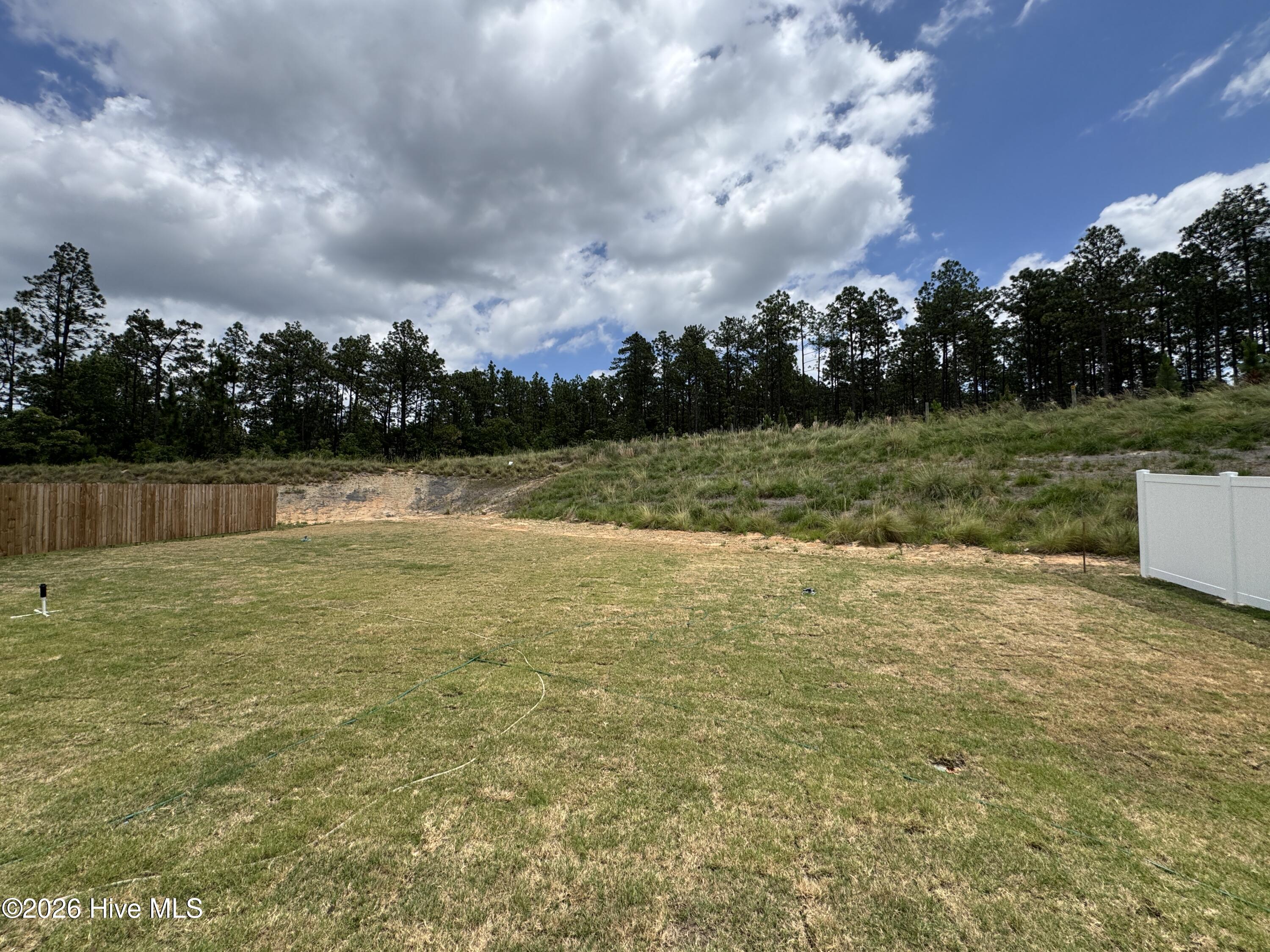 237 Rough Rdg Trail, Unit 18 Aberdeen, NC 28315 - Photo 26 of 27 Gallery Image 26