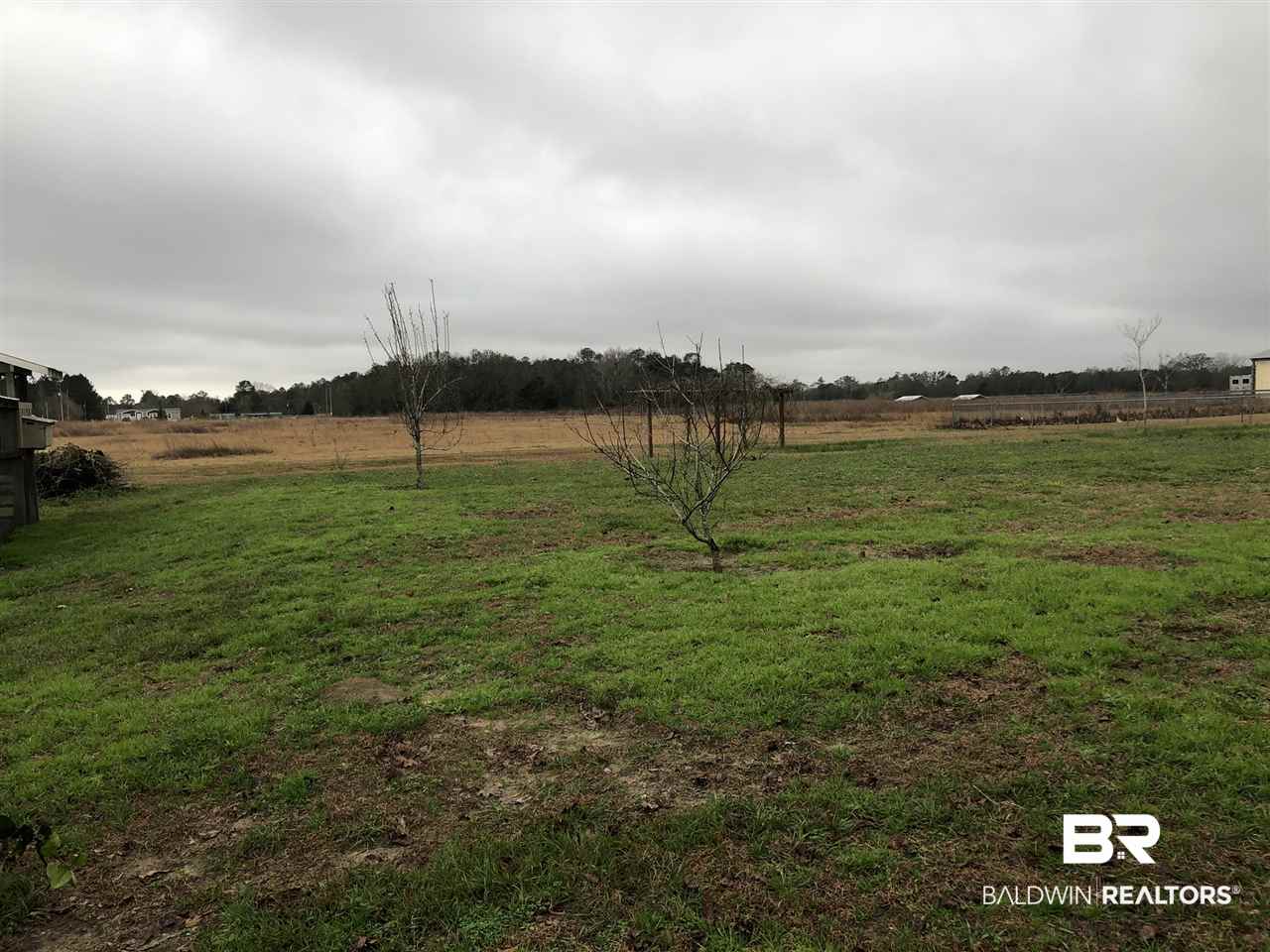 24800 Kichler Circle North Elberta, AL 36530 - Photo 13 of 21