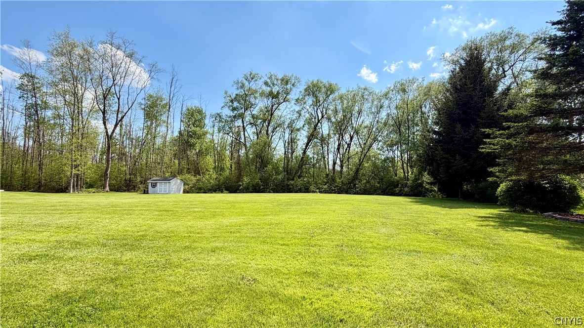 6232 Alabama Path Cicero, NY 13039 - Photo 6 of 11