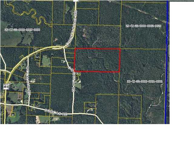 80-ac O B Gatlin Road Crestview, FL 32539 - Photo 5 of 6 Additional Photo