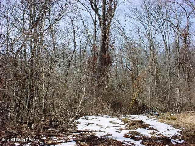 9895 River Road Turners Station, KY 40075 - Photo 11 of 13 MVC-652F.JPG