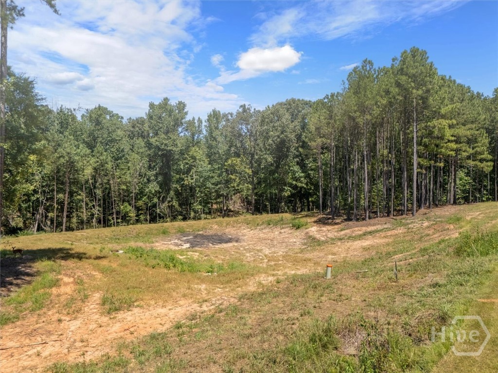 0 Winding Ridge Drive Dillard, GA 30537 - Photo 6 of 19 Gallery Image 6