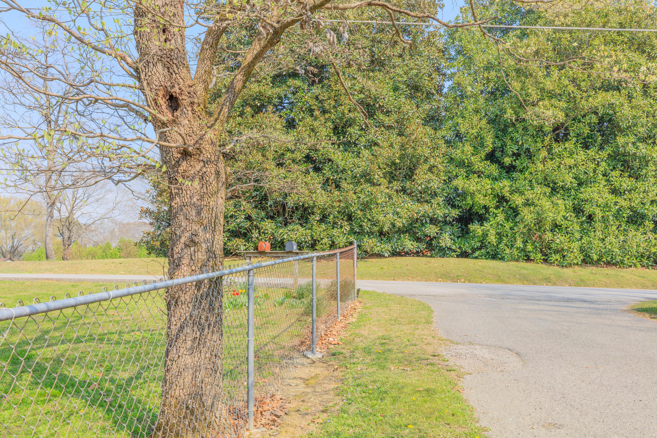 177 West Reed Road LaFayette, GA 30728 - Photo 35 of 36 177 W Reed HD-2