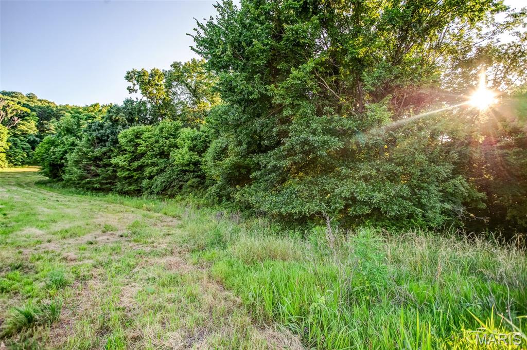 575 Schleeper Hollow Road Hardin, IL 62047 - Photo 30 of 61