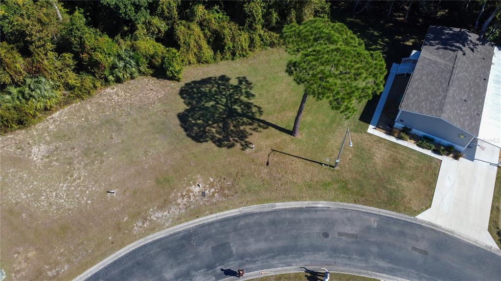 Forest Glenn Dr Spring Hill Spring Hill, FL 34607 - Photo 2 of 31 a view of a outdoor space