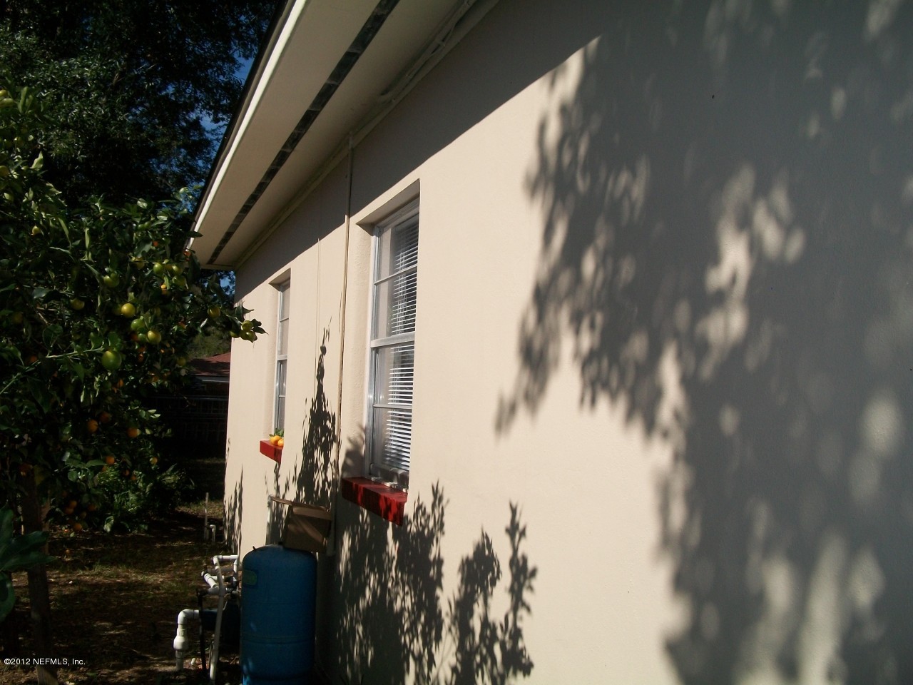 6038 Stetson Road Jacksonville, FL 32217 - Photo 6 of 55 a view of a house with a backyard
