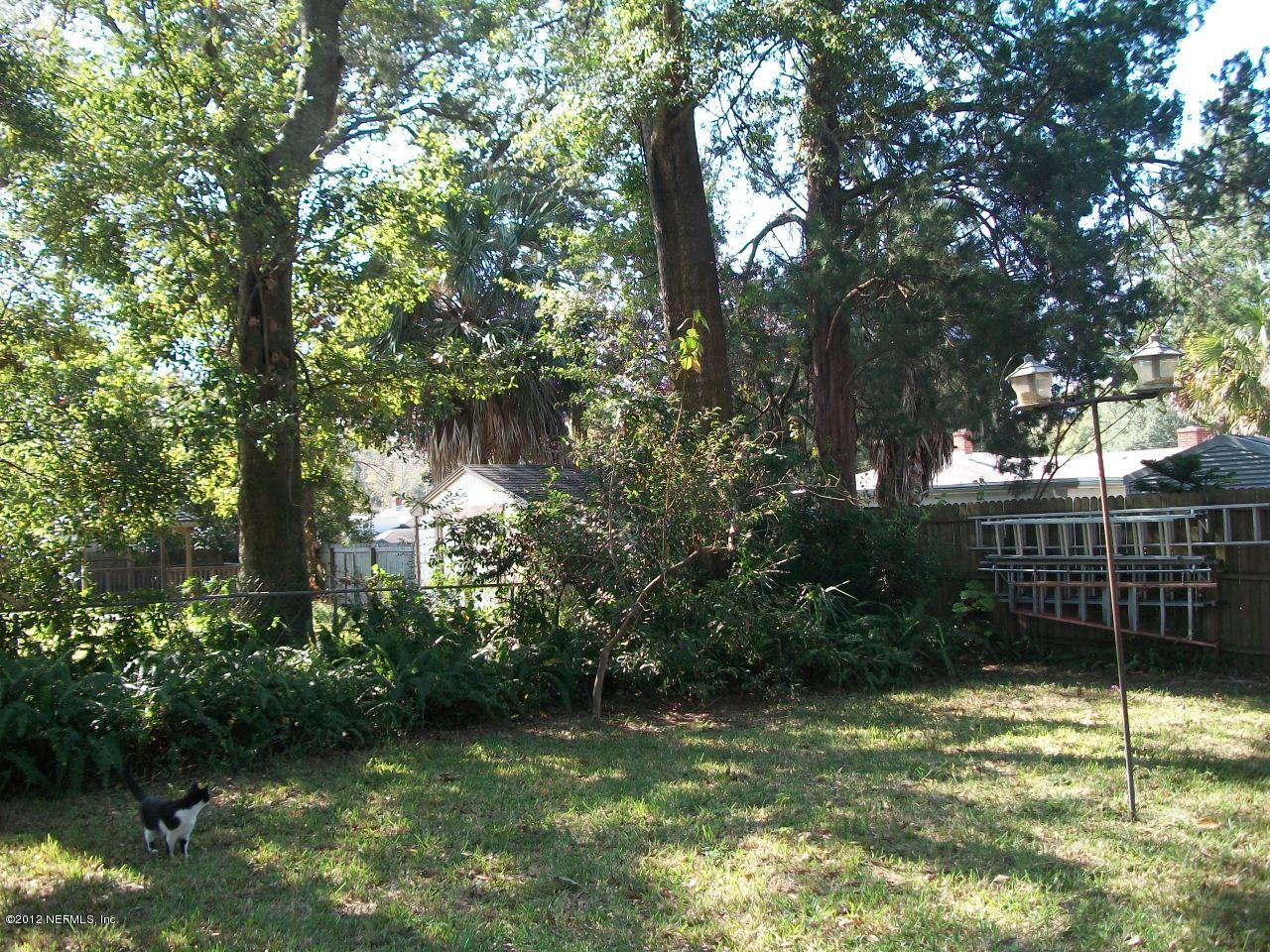 6038 Stetson Road Jacksonville, FL 32217 - Photo 8 of 55 a view of a yard with large trees and plants