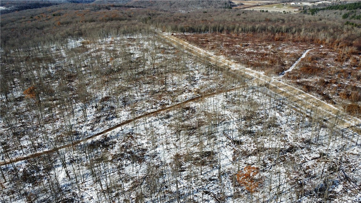 443 South Branch Road Coudersport, PA 16915 - Photo 11 of 25